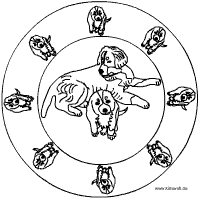 Bernersennenhund Mandala