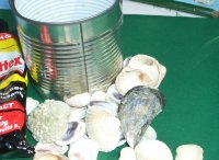 Material für Muscheltöpfchen
