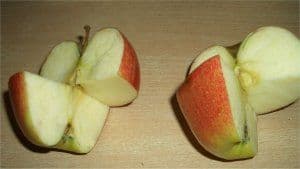 Apfelzauber 2