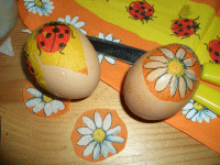 Eier bekleben