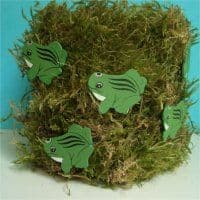 Artikelbild Froschdose  basteln