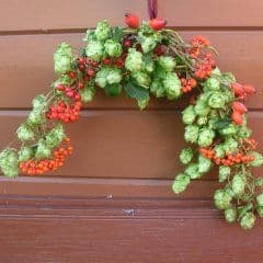 Artikelbild Hopfenbogen basteln