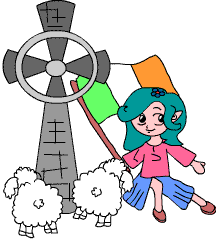 Irland-Quiz