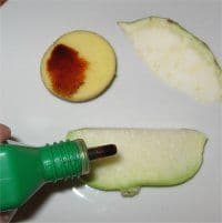 Artikelbild Kartoffelstärke – der  Beweis