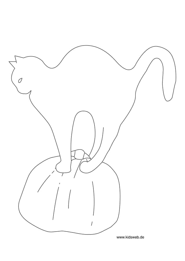 PDF Thumbnail