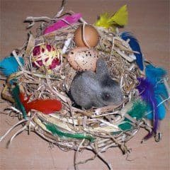 Artikelbild Osterkörbe aus Stroh oder anderen getrockneten Pflanzenteilen herstellen