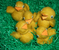 Osterküken filzen