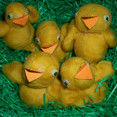 Artikelbild Kuschlige Ostersküken filzen