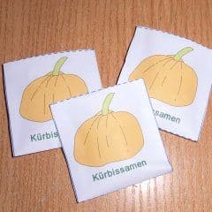 Kürbissamentütchen