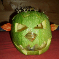 Kürbis fertig