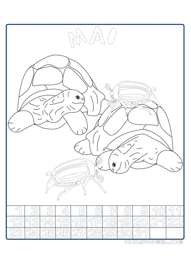 PDF Thumbnail