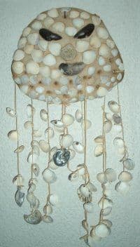 Muschelkrake