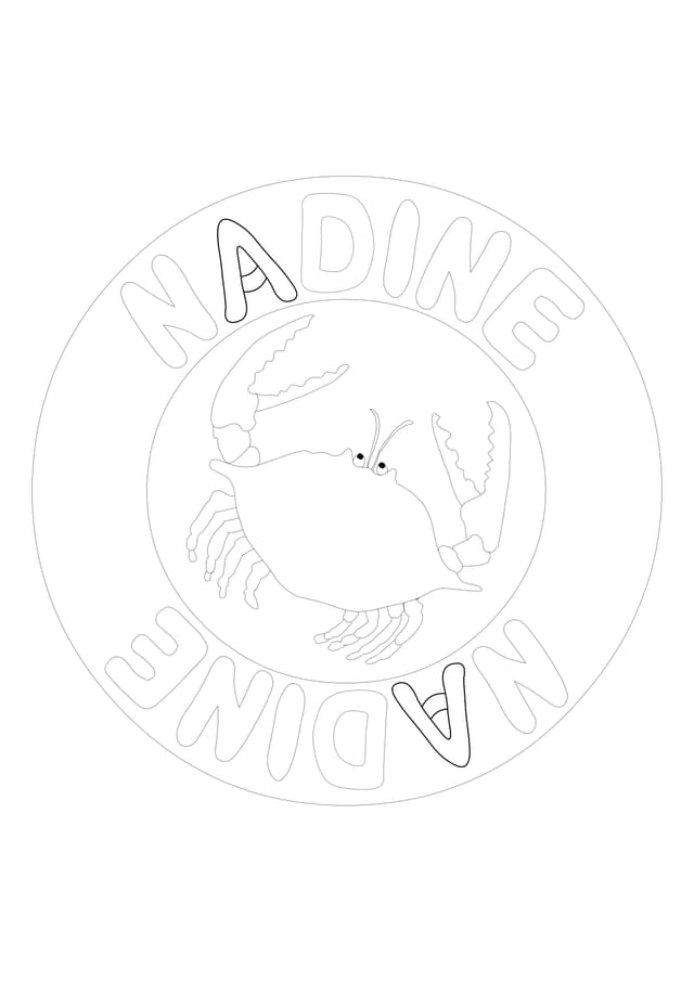 PDF Thumbnail