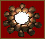 Artikelbild Lichterglanz mit Naturmaterialen Stern aus Naturmaterialien