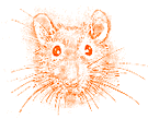 Artikelbild Ratten-ABC