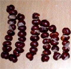 Artikelbild Rechenstäbchen aus Kastanien