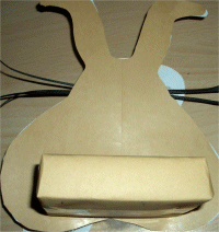 Rückseite