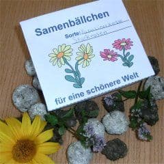 Artikelbild Samenbällchen herstellen