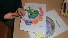 Schnecke ausschneiden