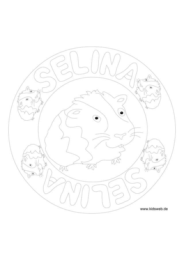 PDF Thumbnail