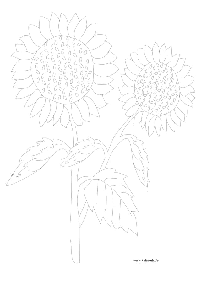 PDF Thumbnail
