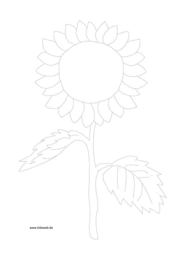 PDF Thumbnail