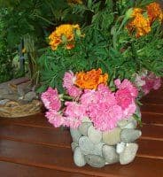 Büchse als Blumentopf