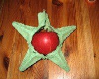 Artikelbild Weihnachtssterne aus Eierkarton Tipp