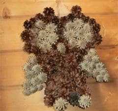 Artikelbild Rieseneule aus Kiefernzapfen basteln