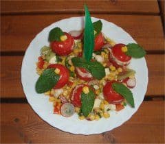 Artikelbild Gefüllte Tomaten "Wilde Feder" zubereiten