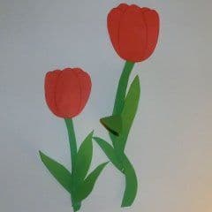 Artikelbild Große Tulpen fürs Fenster basteln