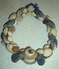 Weidenring mit Muscheln