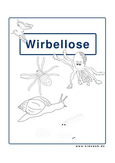 Kidsweb