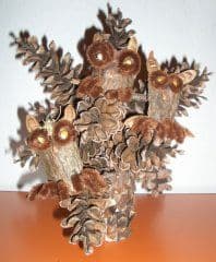 Zapfenbaum mit Baumrindeneulen