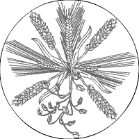 Getreide-Mandala