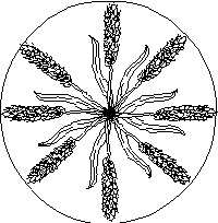Weizen-Mandala