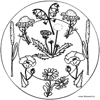 Wiesenblumen-Mandala
