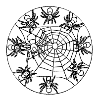 Spinnen-Mandala