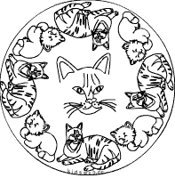 Katzenkreis-Mandala