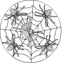 Spinnen-Mandala