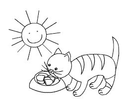 Katze Sonne