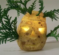 Kartoffelleuchte