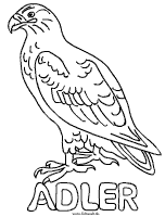 Adler-Malvorlage