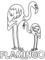 Flamingo Malvorlage