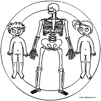 Skelett Mandala