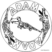 Adam Mandala