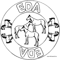 Eda Mandala