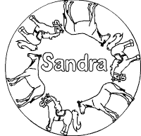 Sandra-Mandala