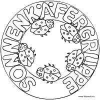 Sonnenkäfergruppe Mandala