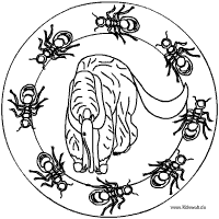 Ameisenbär-Mandala